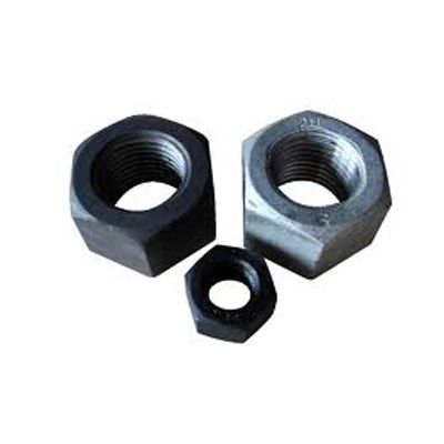 Hex Nut In Allahabad