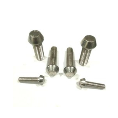 Stainless Steel Anti Theft Bolt In Bhopal