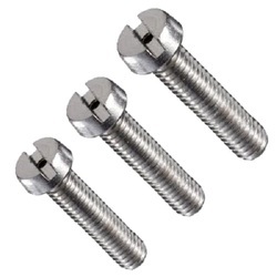 Stainless Steel Machine Screw In Kanpur