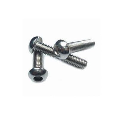 Stainless Steel Screw In Ambala