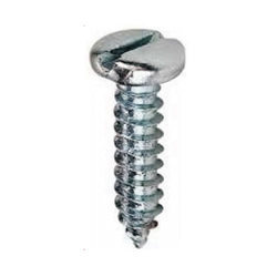 SS Pan Slotted Self Tapping Screw