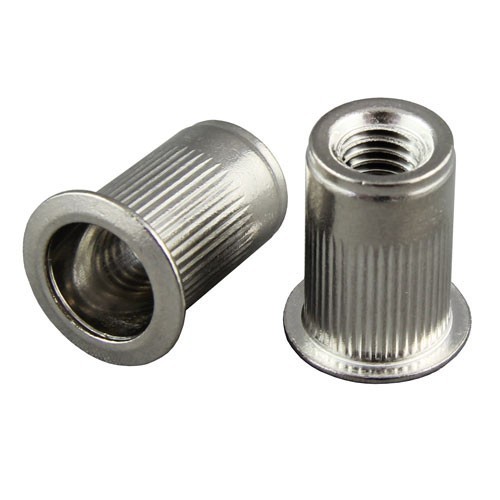 Stainless Steel Big Head Rivet Nut In Andaman and Nicobar Islands