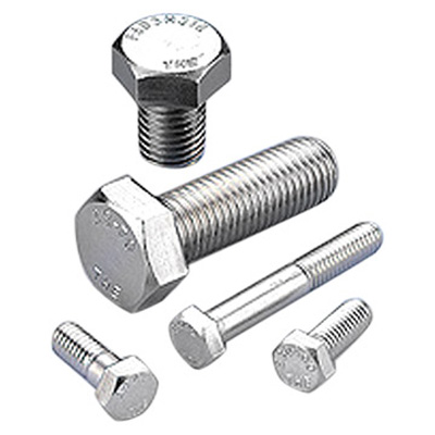 Stainless Steel Bolt In Bharuch