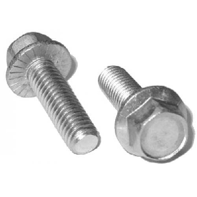 Stainless Steel Flange Bolt In Lakshadweep